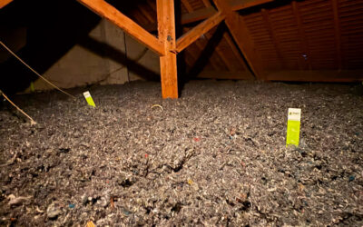 Isolation des combles d&rsquo;une maison à Auxerre